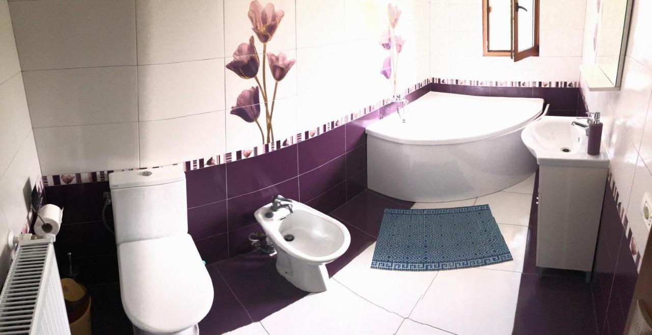 מלון Ucea de Sus Casa Ardeleana Ucea מראה חיצוני תמונה